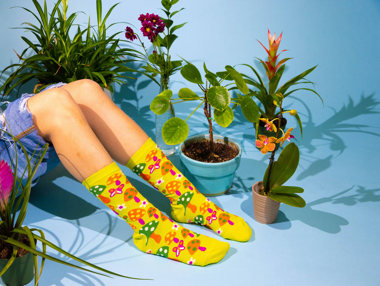 Mushroom Butterfly Socks